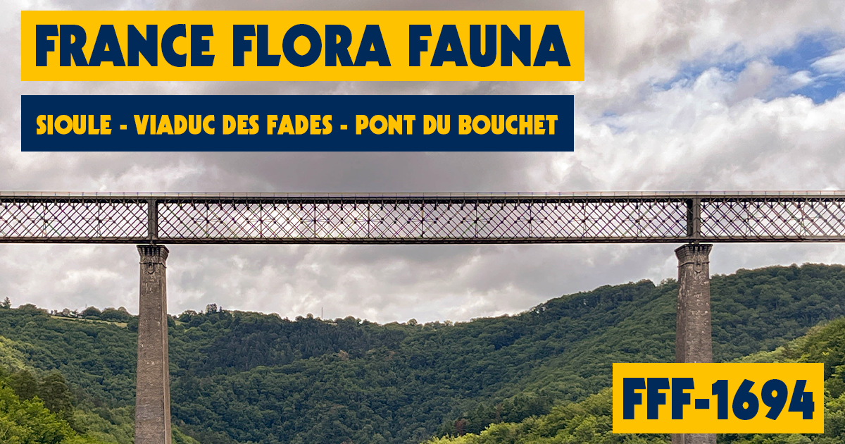 FFF-1694 : Sioule - Viaduc des Fades - Pont du Bouchet