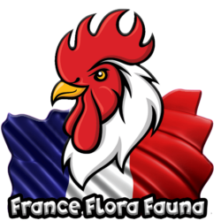 France Flora & Fauna