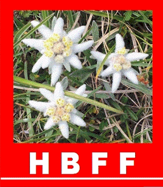 Swiss Flora Fauna